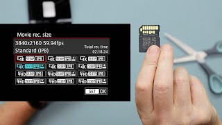 Lexar Professional v60 SDXC UHSII Card  Review amp Test [upl. by Eedrahc985]