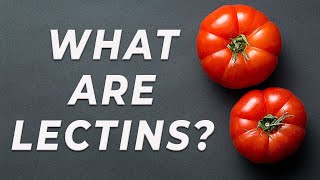 Lectins  What are they [upl. by Yla]