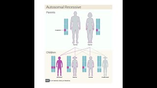 Pattern of transmission of single gene trait Part 2 [upl. by Attenad]