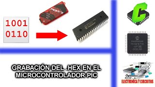 CURSO MICROCONTROLADORES PIC  GRABAR CÓDIGO HEX EN EL MICROCONTROLADOR PIC [upl. by Ydnam64]