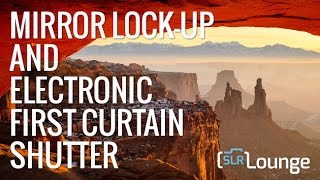 What Is Mirror Lockup and Electronic First Curtain Shutter [upl. by Hguh686]