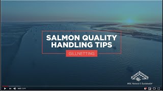 Alaska Salmon Harvesting  Gillnetting Quality Handling Guide [upl. by Nyvets138]