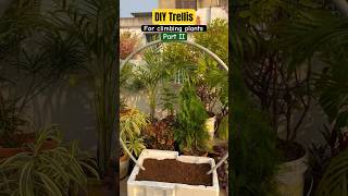 How to build a trellis for climbing plants🌿creeper vines diyideas gardening ashortaday [upl. by Morril]