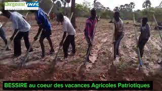 VACANCES AGRICOLES PATRIOTIQUES À BESSIRE CHEZ OUSMANE SONKO LES JEUNES PATRIOTES SACTIVENT [upl. by Baggott]