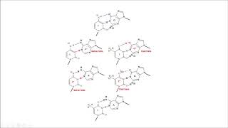 tautómeros tautomers replicación replication DNA structure estructura molecular biology biología [upl. by Ennaeerb]