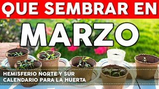 Calendario de Siembra 2022 Que sembrar en Marzo en el Huerto de Primavera y de Otoño [upl. by Dnaletak]