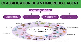 CLASSIFICATION OF ANTIMICROBIAL AGENTANTIBIOTICSPHARMACOLOGY REVISION PHARMACY YOUTUBEVIDEO [upl. by Korfonta]