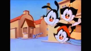 Animaniacs  Intro Romanian [upl. by Alleunam]