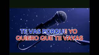 LA MEDIA VUELTA KARAOKE [upl. by Gussie651]