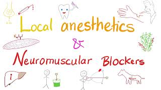 Local Anesthetics and Neuromuscular Blockers  Anesthesiology [upl. by Whale922]