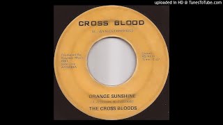 The Cross Bloods  Orange Sunshine OBSCURE GARAGE ACID [upl. by Bremble982]