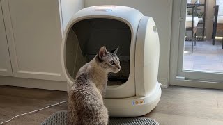 Unboxing  setting up the MeoWant SelfCleaning Cat Litter Box Automatic litter box review  demo [upl. by Droflim]