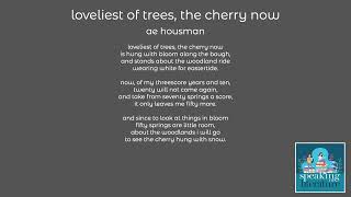 ae housman  loveliest of trees the cherry now [upl. by Salema392]