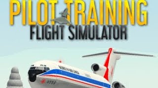 playing pilot training flight simulator [upl. by Esilanna]