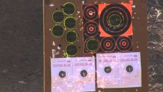 Savage Mark II 22LR AMMO TEST using CCI Federal and Winchester Ammom2ts [upl. by Akcira]