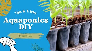 Aquaponics DIY  Seedlings [upl. by Nudd]