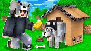 EVSİZ FAKİR KÖPEĞİ SAHİPLENDİM 🐶  Minecraft [upl. by Aramois430]