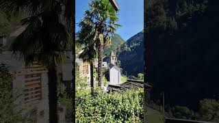 TICINO SWITZERLAND TRAVEL SHORTS YTSHORTS [upl. by Beattie]