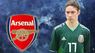 MARCELO FLORES  ARSENAL  SKILLS MÉXICO ● DEBUT ASSISTANCE  BEST MATCHES PLAYED AND GOALS ◀️ [upl. by Thirzia604]