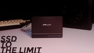 10 Tes Daya Tahan SSD ft PNY CS900 120GB [upl. by Ynaoj]