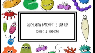 Wuchereria Bancrofti amp Loa Loa [upl. by Chasse]