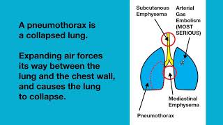 Lung Overexpansion Injuries [upl. by Hesler]