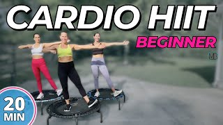 Trampoline Cardio HIIT  Beginner Challenge  DAY 6 [upl. by Ednihek655]