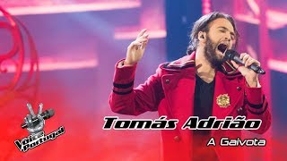 Tomás Adrião  quotA Gaivotaquot Amália Hoje  Gala  The Voice Portugal [upl. by Perlman]