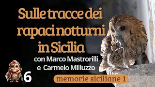 Sulle tracce dei rapaci notturni in Sicilia con Marco Mastrorilli e Carmelo Milluzzo 🦉 🦉 🦉 [upl. by Tooley918]