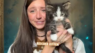 We Found A Kitten In The Gutter 😢🐱  PAWSOME PETS [upl. by Jenda]