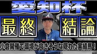 【愛知杯2024】平坦小倉でスピード活かす隠れた実績馬！ミッキーゴージャス、セントカメリアらにも負けないスピードの持ち主！【競馬予想】 [upl. by Garate207]