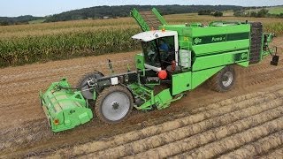 New AVR Puma  and Fendt Vario 828936  Fortemps à larrachage de PDT 2013 [upl. by Ataga]