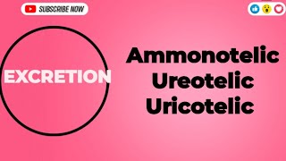 Excretion Ammonotelic Ureotelic and Uricotelic Excretion Ammonotelic urea uricacid biology [upl. by Yssor]