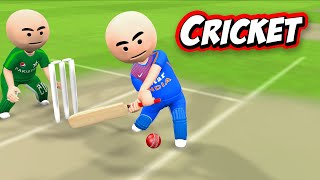 3D ANIM COMEDY  CRICKET  INDIA VS PAKISTAN  LAST OVER [upl. by Ykceb]