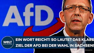 SACHSEN Nur ein Wort reicht So lautet das klare Ziel der AfD bei der Landtagswahl im September [upl. by Elwira869]