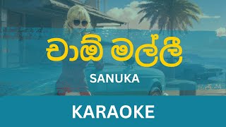 Ciao Malli Karaoke  SANUKA  Without Voice  With Lyrics  Instrumental [upl. by Nomrac]