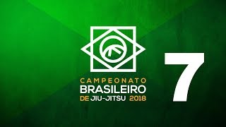 Campeonato Brasileiro 2018  Dia 5  áreas 7  12 [upl. by Kerry]