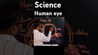 How to draw a Human eye diagram sciencefacts [upl. by Uriisa]