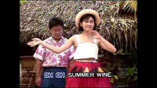 Summer Wine  Video Karaoke Melovision [upl. by Eadnus870]