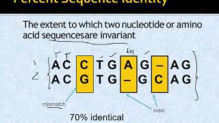 Introduction to Local and Global Alignment Explained Computational Biology [upl. by Lombardy]