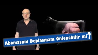 Abomasum Deplasmanı [upl. by Anod]