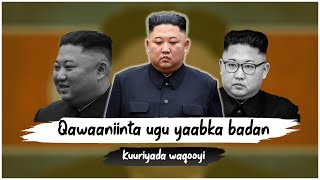 Kuuriyada waqooyi 🇰🇵  Qawaaniinta ugu yaabka badan ee ka jira dalkaas [upl. by Navanod]