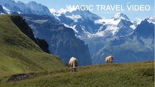 Grindelwald  Männlichen  Kleine Scheidegg  Panorama Trail [upl. by Urbai]