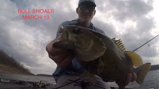 Bull Shoals Lake Bass Fishing Report  March 13 2024  Del Colvin [upl. by Anisor]