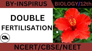 DOUBLE FERTILISATION  CLASS12  CBSE  NEET [upl. by Ahserb]