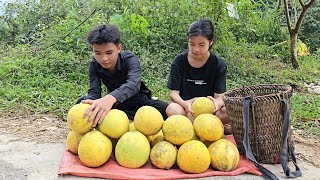 The homeless boy and the poor girl install locks on their house and pick grapefruits to sell [upl. by Loeb870]