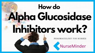 How do alphaglucosidase inhibitors work Pharmacology for Nursing [upl. by Ainahpets332]