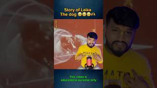 Story of laika The dog🥹🥹🥹🥹 emotional shortsfeed shorts vkvarunkrishna [upl. by Hsemar]