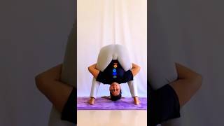 Wide legged forward Bending yoga pose yogaurmi urmiyogaacademy fitness yogateacher yoga [upl. by Ellard]