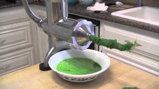 2  Juicing Wheat Grass [upl. by Garretson]